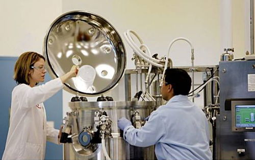 Amyris 美國(guó)工業(yè)生物技術(shù)先鋒的衰落樣本