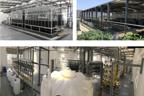 全國(guó)煤炭與煤化工環(huán)境治理及保護(hù)大會(huì)暨生物化工產(chǎn)品技術(shù)研發(fā)研討會(huì)預(yù)通知